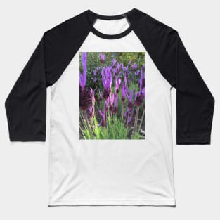 Lavender Baseball T-Shirt